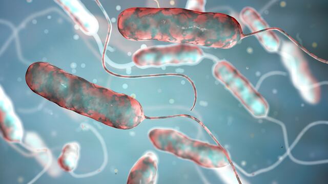 Suman 10 casos de Legionelosis en el Bronx, Nueva York