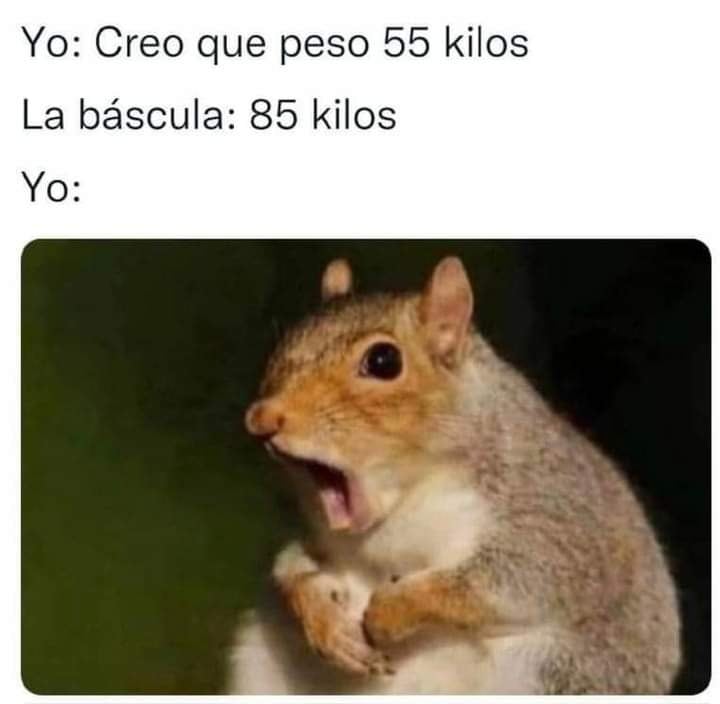 Los mejores memes de Año Nuevo