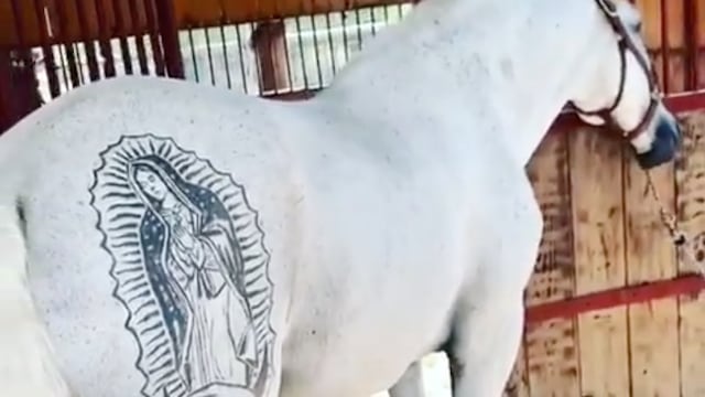 Critican a Pepe Aguilar por el corte de pelo a sus caballos