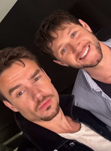 Reencuentro de Liam Payne y Niall Horan