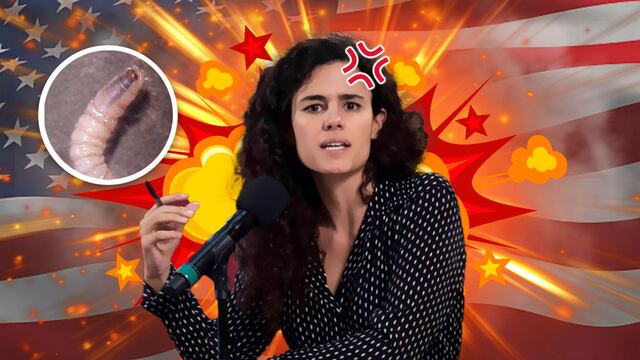 Luisa Alcalde, dirigente de Morena, dio un fuerte mensaje por la decisión de Estados Unidos frente al gusano barrenador en México