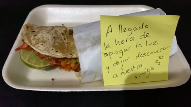 Quesadilla durmiendo