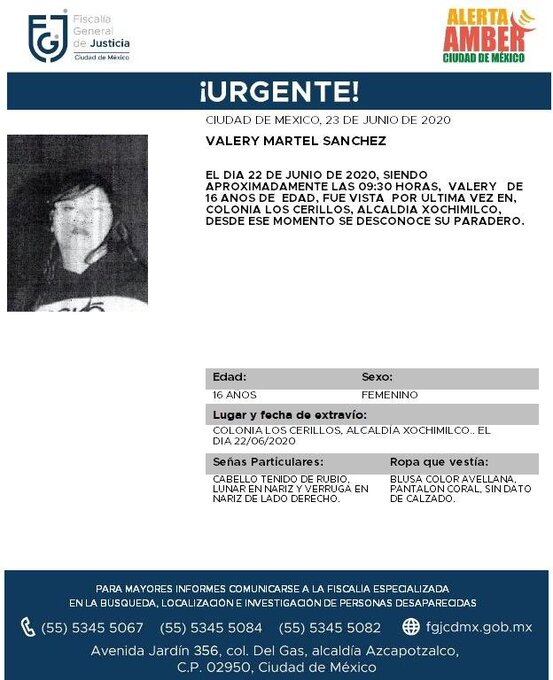 Ficha de búsqueda de Valery.