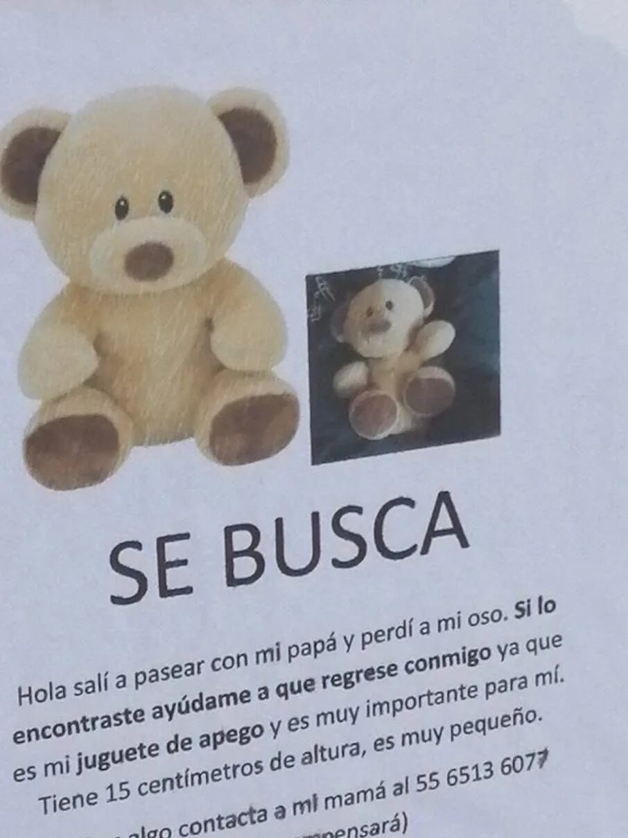 Volante de búsqueda del osito de peluche