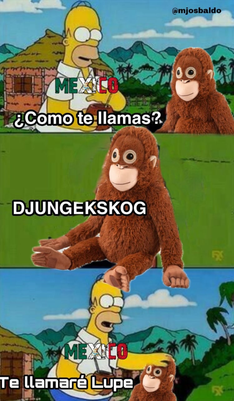 Meme de orangután 'Lupe'