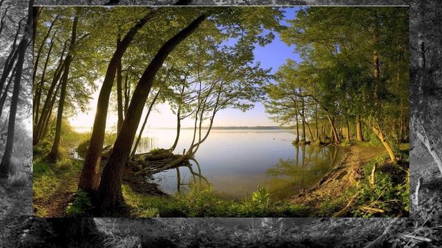 La misión de este trabajo interinstitucional y multidisciplinario es acercar el conocimiento que se genera en las universidades.