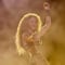 Paquetes VIP de Shakira en Ticketmaster: Precio y cuáles son para sus conciertos en México