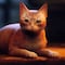 ‘Stray’, el juego del gato, colapsa a PlayStation al estrenarse