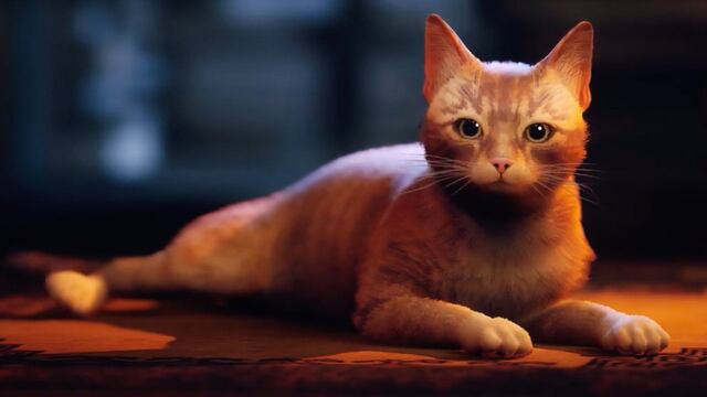 'Stray', el juego del gato de PlayStation