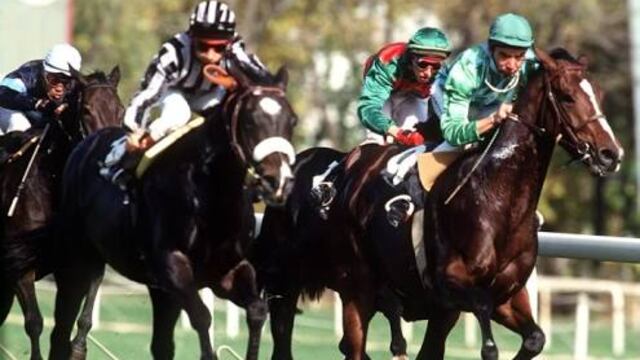 Hasta este momento, todas las ventajas van con el caballo moreno. Las quinielas le marcan como seguro ganador, pero en el hipismo nada es seguro