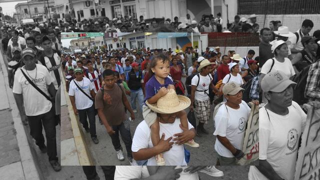 Aumenta robo de órganos a migrantes que van hacia EU: Solalinde