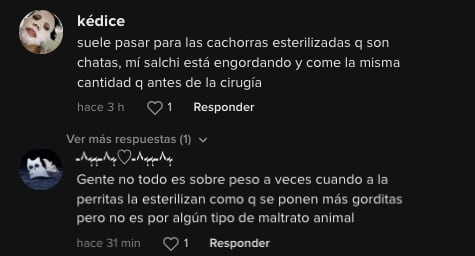 Usuarios de TikTok defienden opinan respecto a la oveja