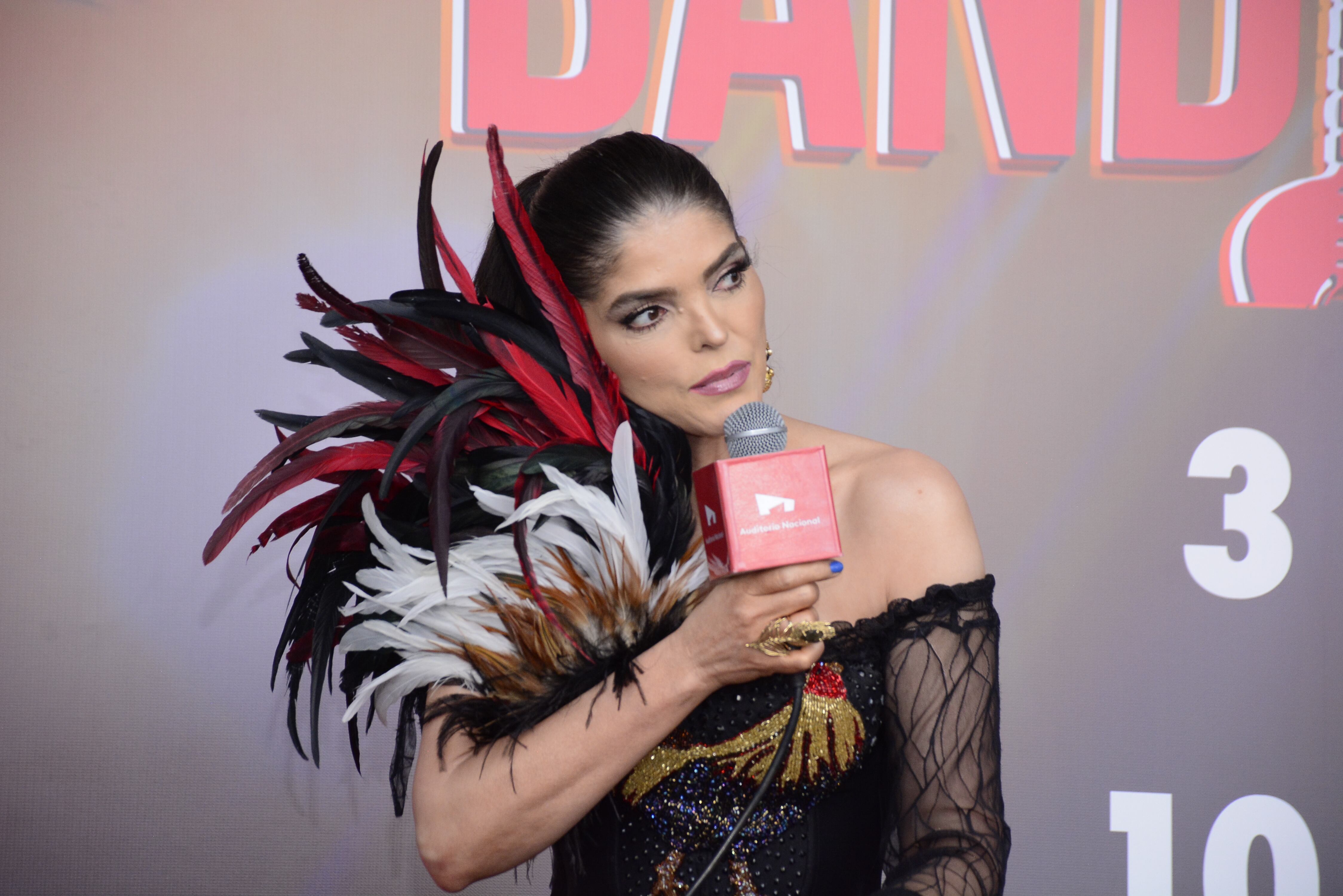Ana Bárbara, cantante.