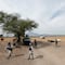 Rancho La Vega en Teuchitlán: Hallan otro posible campo del CJNG como el rancho Izaguirre