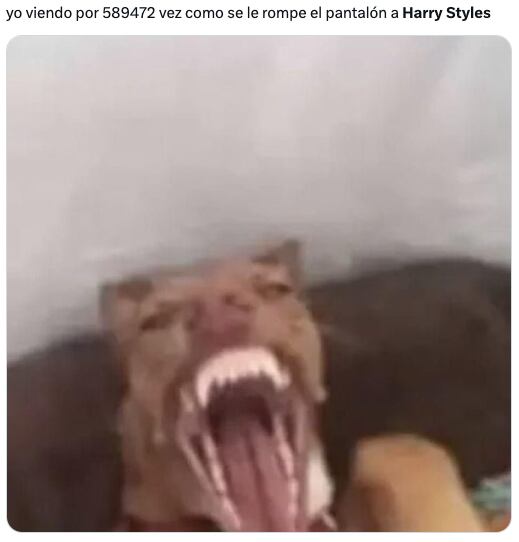 Harry Styles rompe sus pantalones frente a Jennifer Aniston