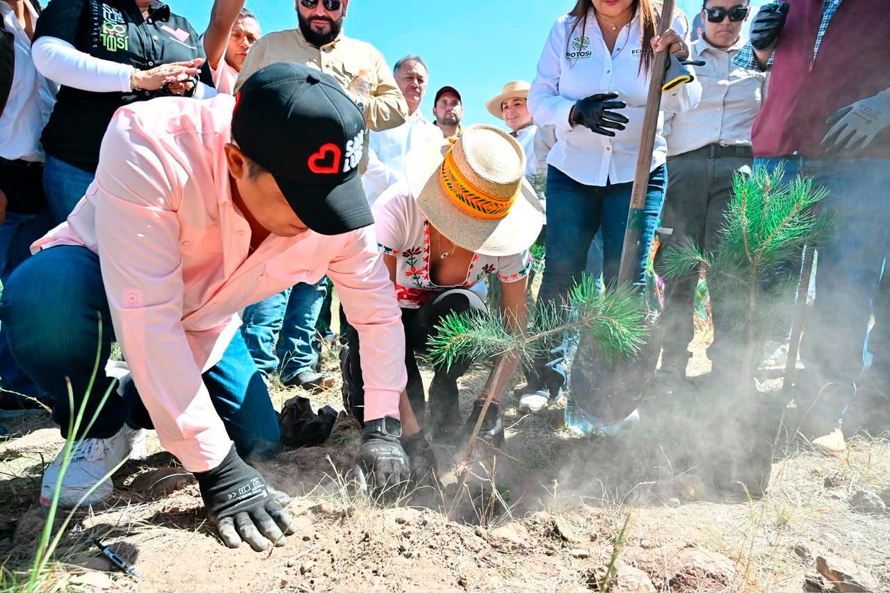 Ricardo Gallardo fortalece reforestación y protección ambiental en SLP.