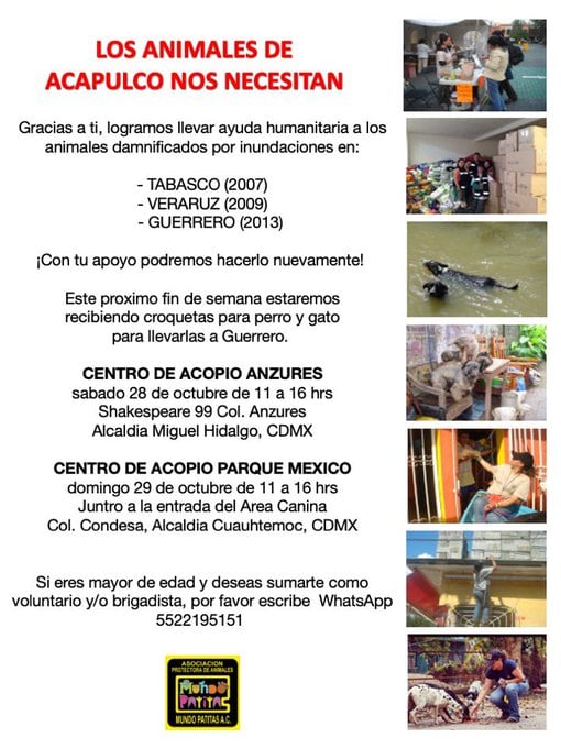 Centro de acopio para alimentos de mascotas Mundo Patitas