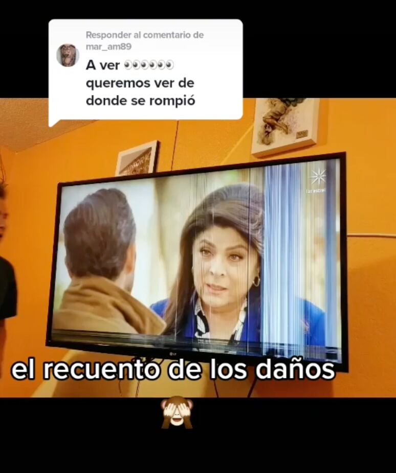 Televisión rota por matar a la mosca