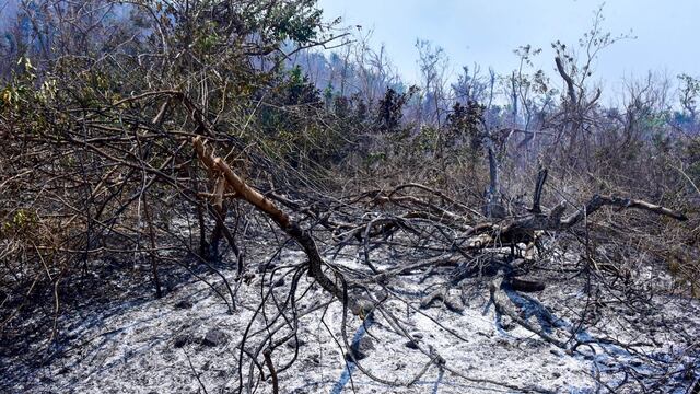 Incendio en el Parque Nacional El Veladoro