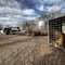 Culiacán, Sinaloa hoy 20 de mayo: guerra entre Mayos y Chapitos también afectó a 700 animales del Santuario Ostok