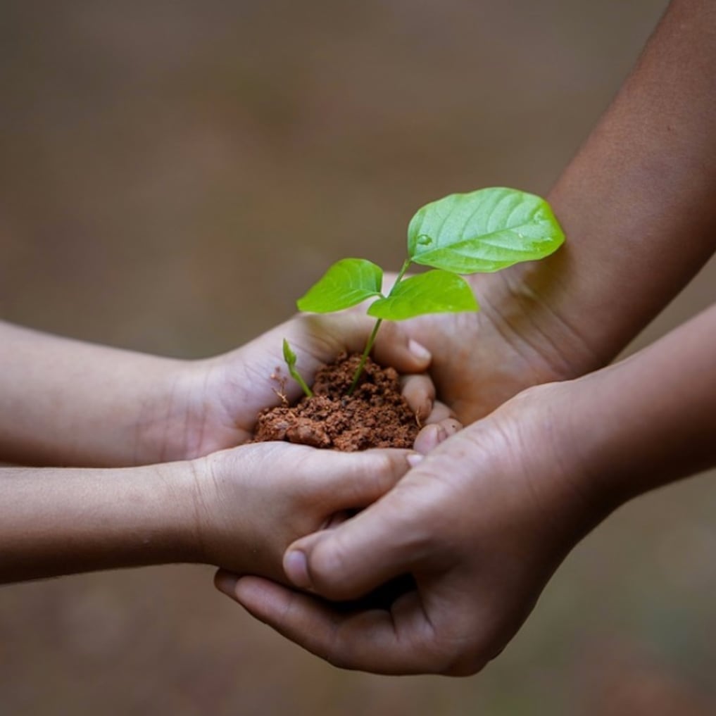 Medio ambiente, del olvido a la acción
