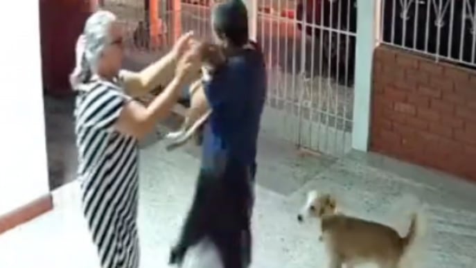 Perrito perdido vuelve a casa