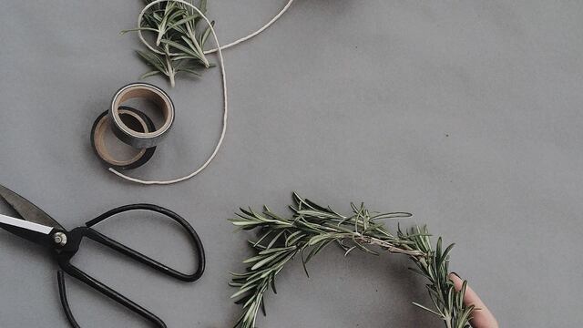 Imagen de Daria Shevtsova