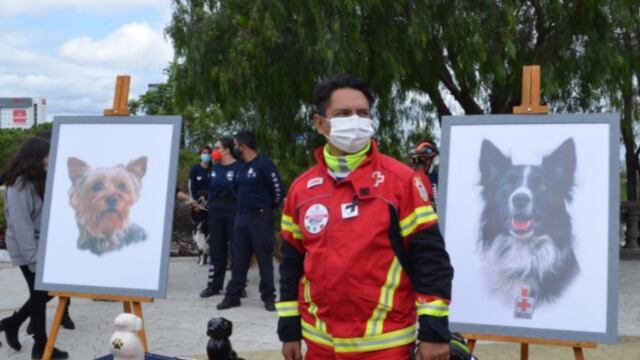 Homenaje a los perros rescatistas Athos y Tango