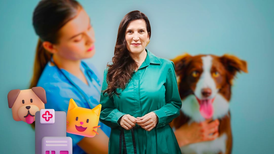 ¿Tienes mascota? Buscan que los gastos veterinarios sean deducibles en México