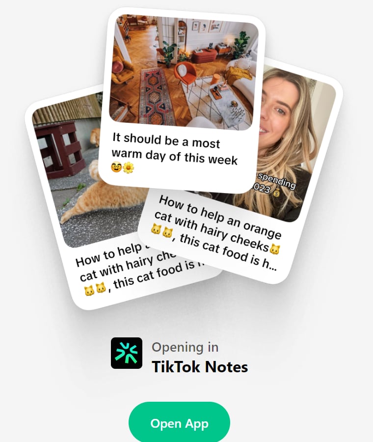 TikTok Notes