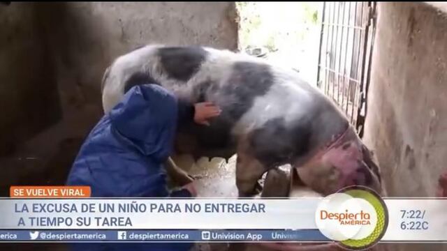 Juan Gabriel ayuda a su 'cuchi' a parir