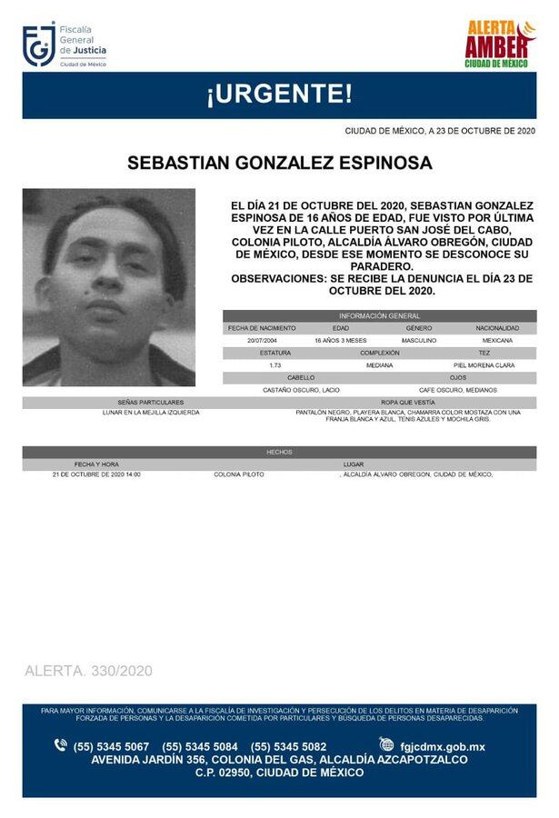 Ficha de búsqueda de Sebastián