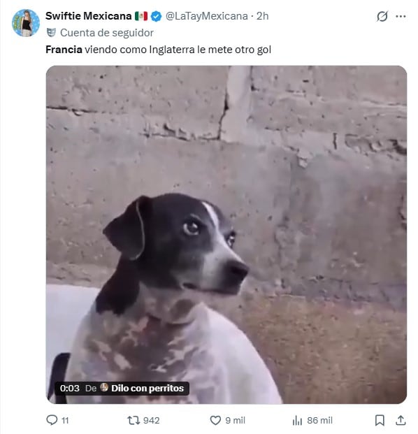 Memes del Francia vs Inglaterra