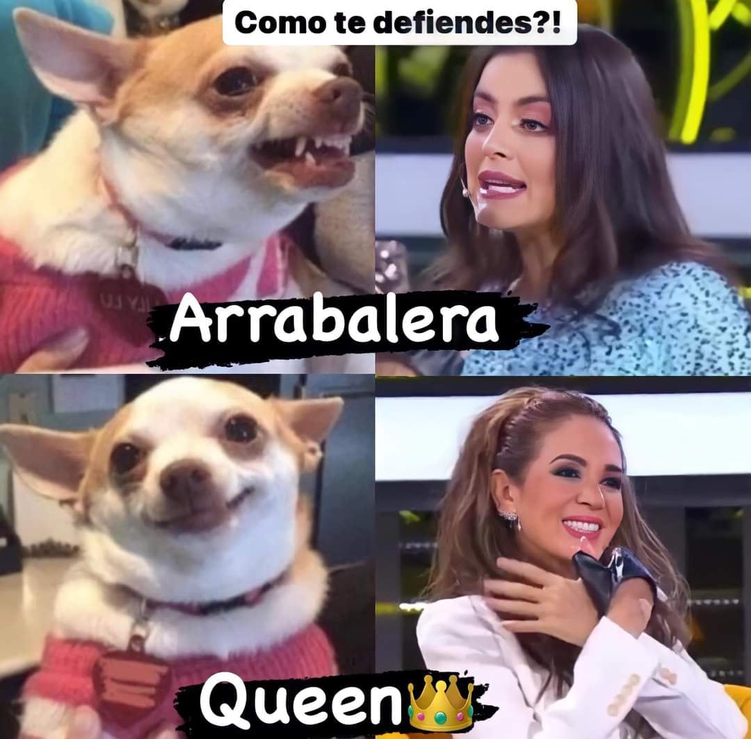 Meme de Yolanda Andrade sobre Daniela Navarro.