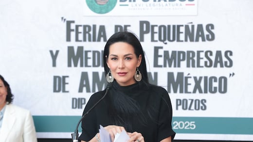 Presidenta de la Comisión de Presupuesto justifica el Home Office de diputados en San Lázaro