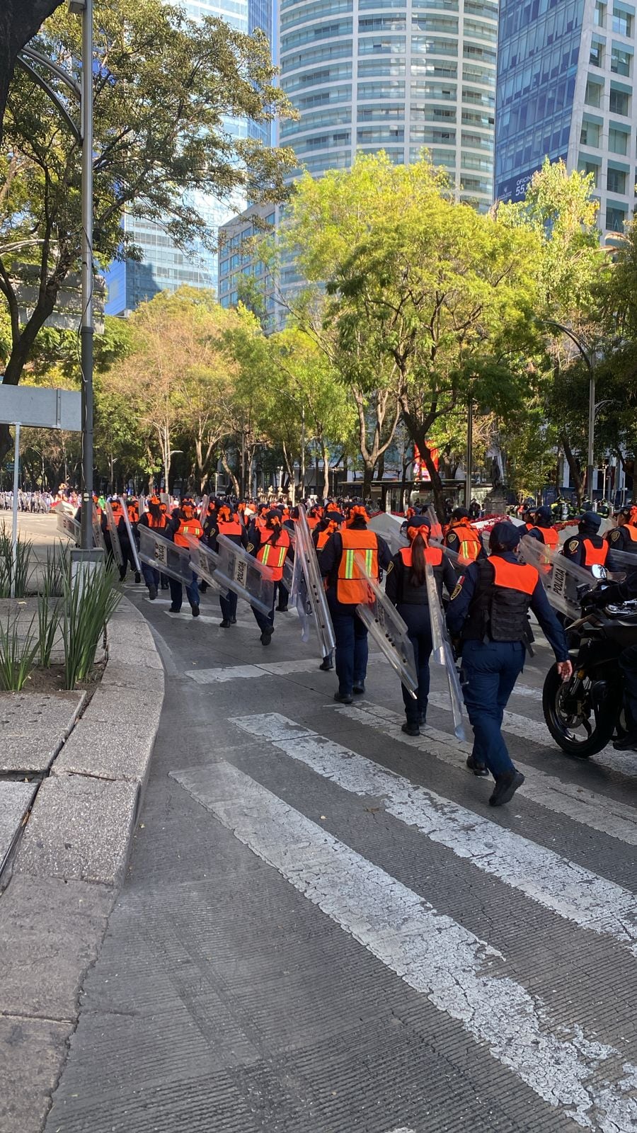 Marcha del 25 de noviembre 2023: Continúan su trayecto sobre Paseo de la Reforma