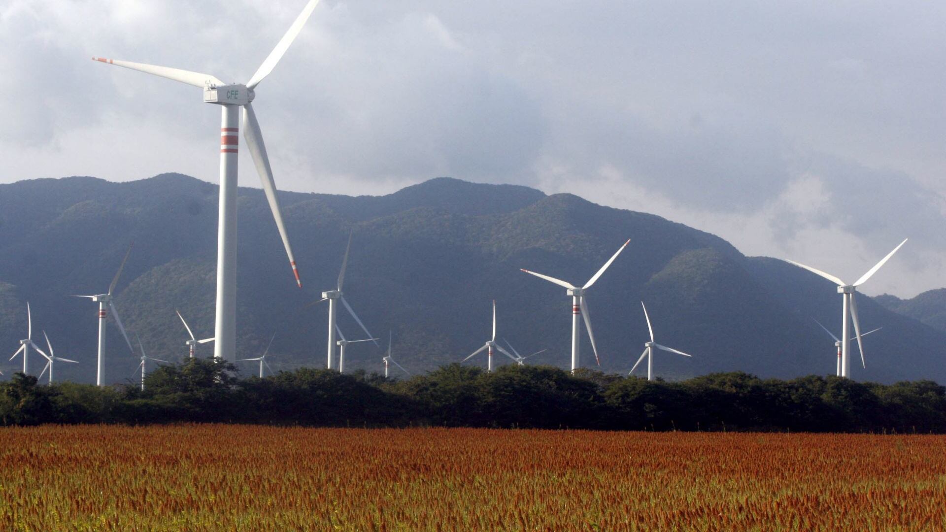 Las implicaciones negativas de limitar energías limpias