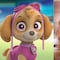 ¿Cómo son los Cocker Spaniel? 7 características de la raza de Skye, la cachorra de Paw Patrol
