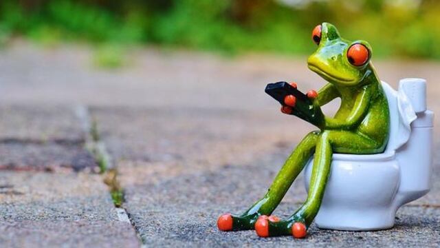 Rana Estreñimiento Amnesia