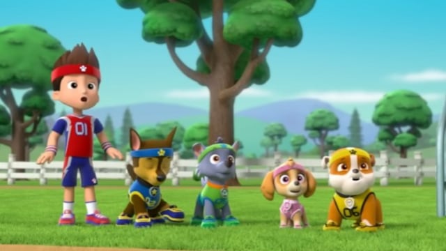 25 minutos de Paw Patrol jugando deportes