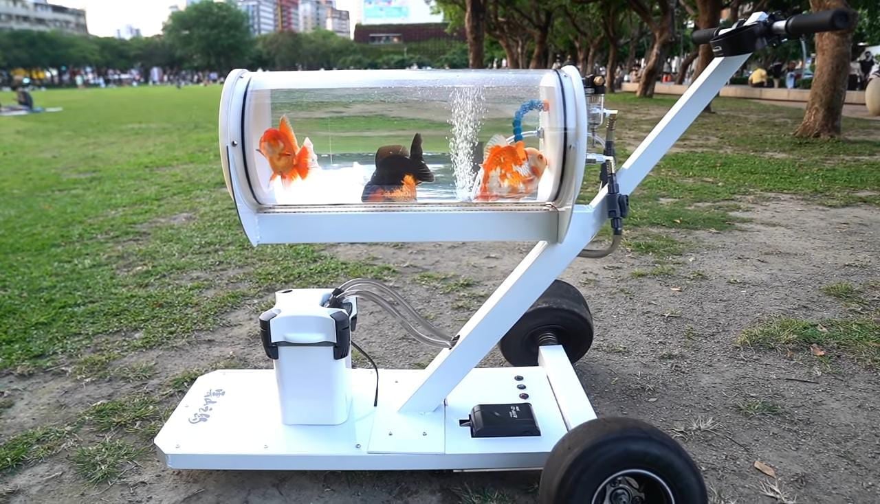 Carriola para peces