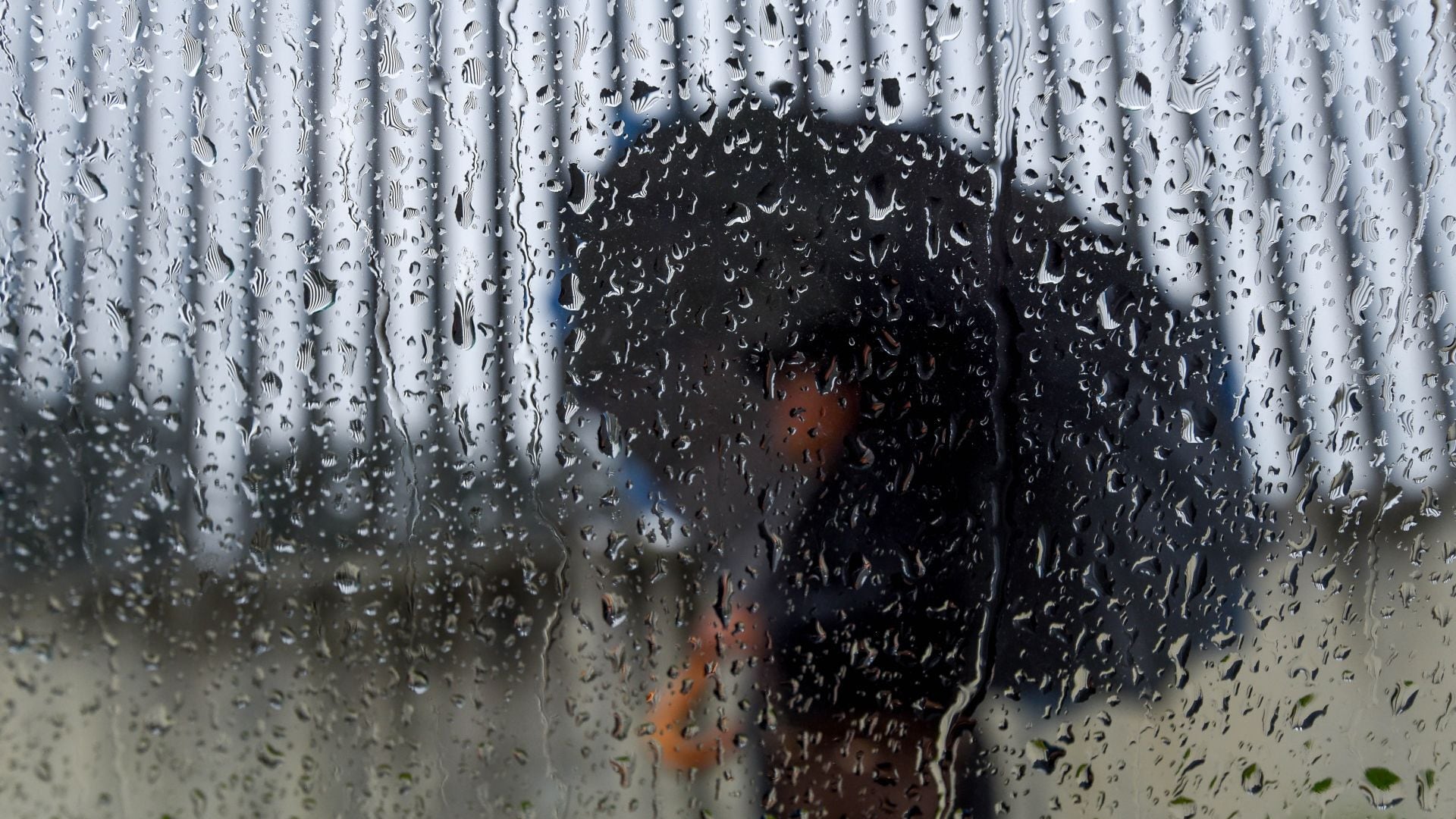 Alerta roja en Cuajimalpa por fuertes lluvias esta tarde y noche