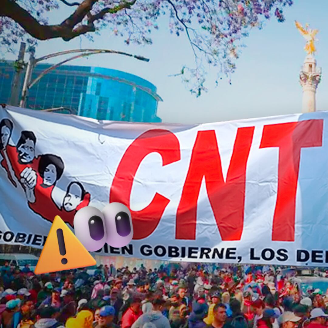 Vividores contra vividores