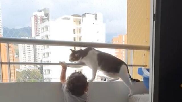 Gato cuida a bebé que quiere subir al balcón
