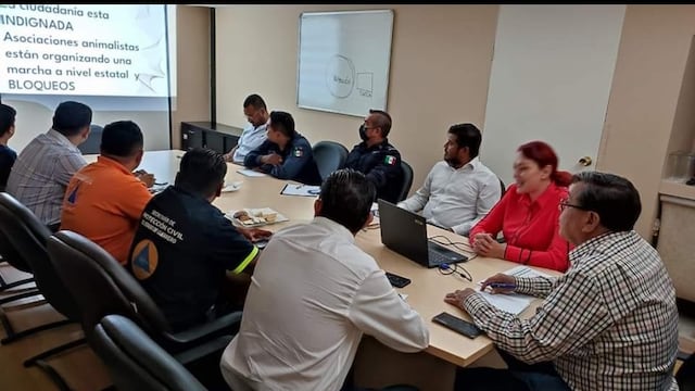 Vinculan a proceso a agresor del Stich en Guerrero