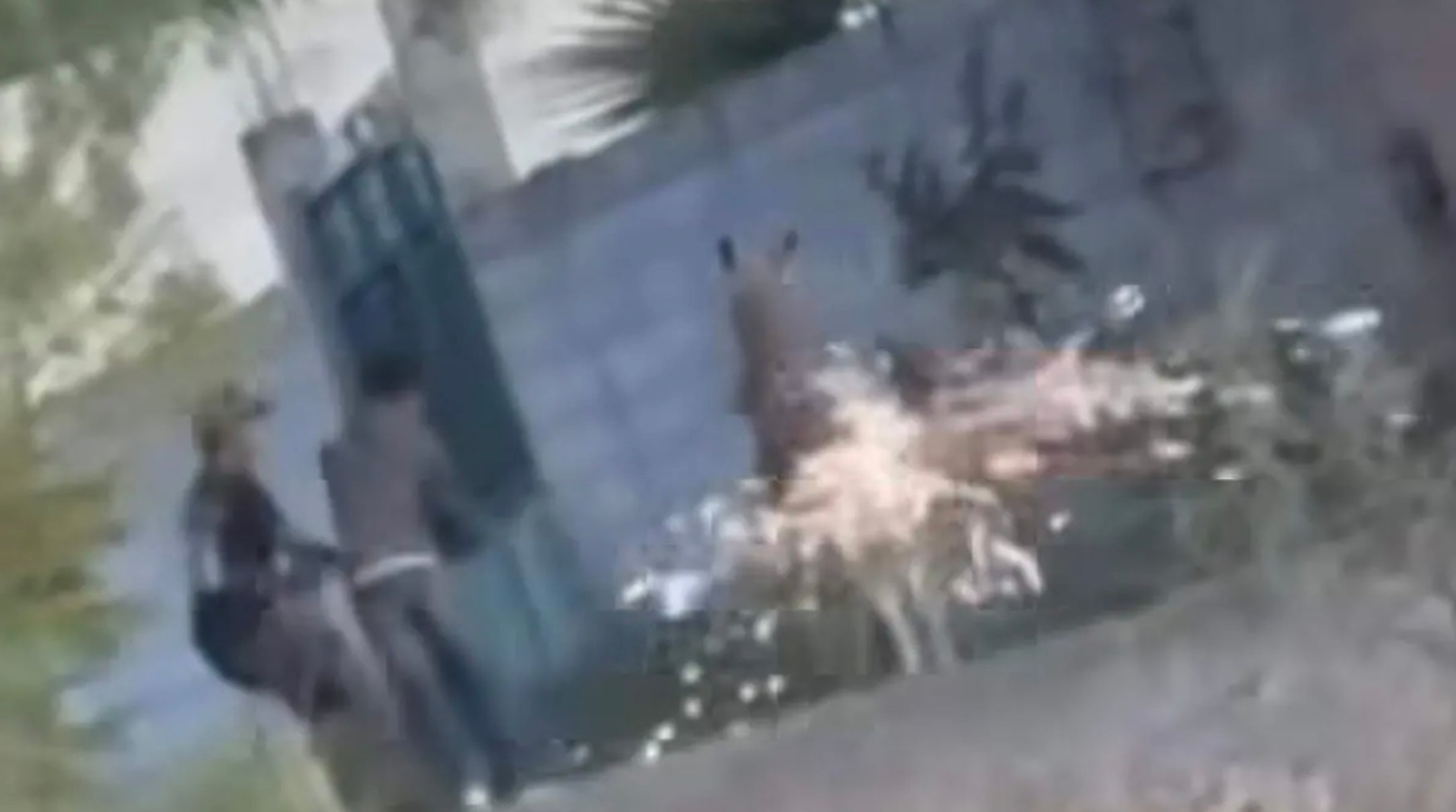 Jóvenes que usaron pirotecnia contra un burro en Querétaro