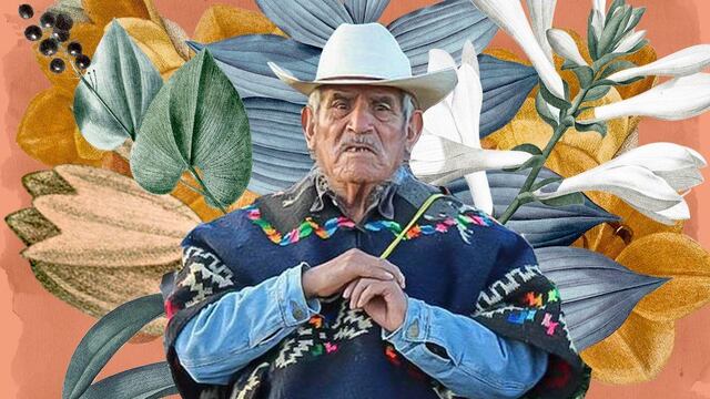 Imagen representativa