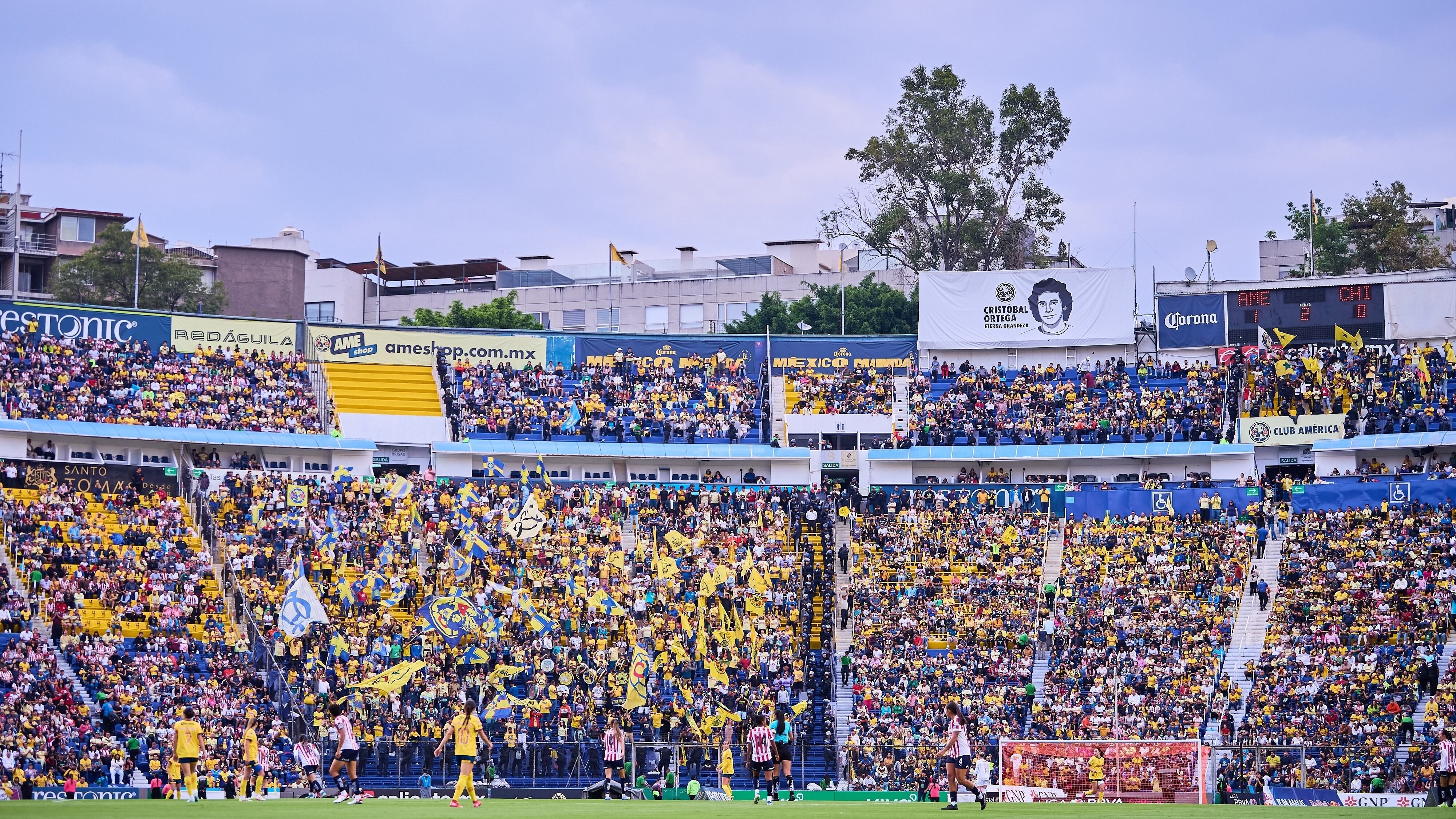 “Es una ratonera”: Advierten sobre posibles asaltos en el Estadio del América
