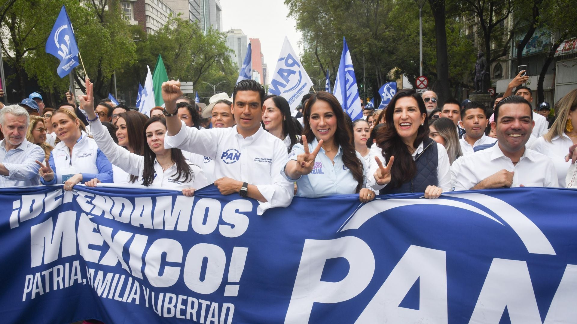 El PAN: lo bueno, lo malo y lo gris