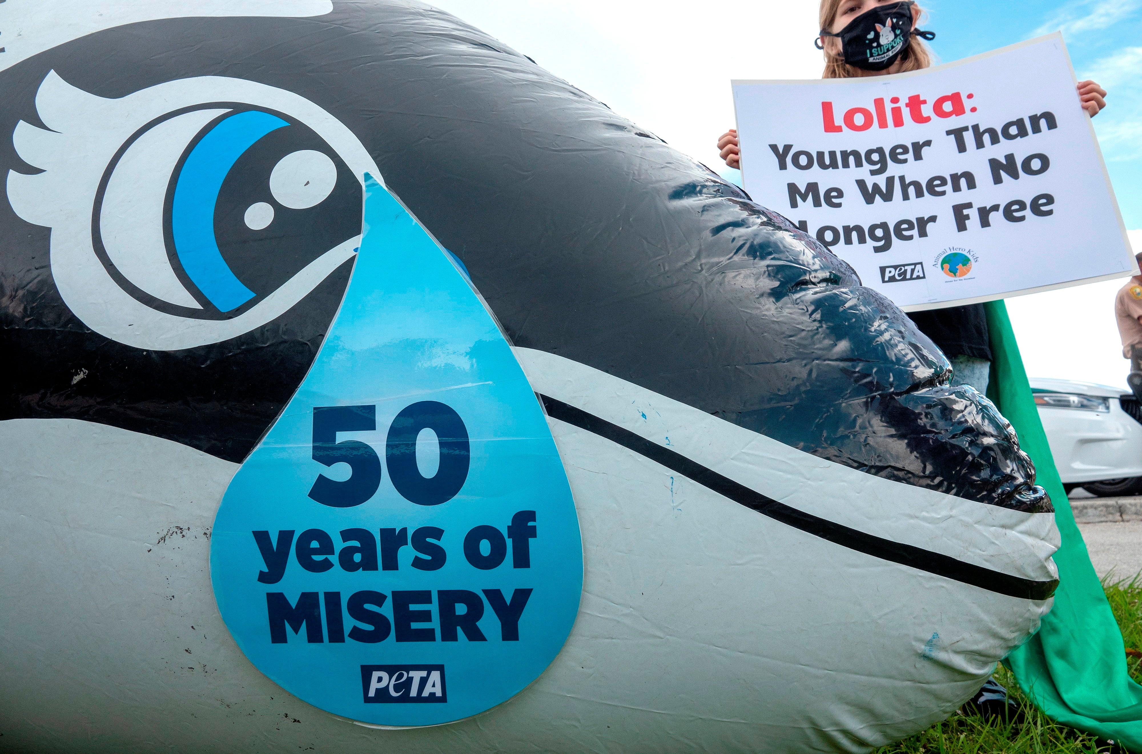 'PETA' y 'Animal Hero Kids' exigen liberación de la orca Lolita